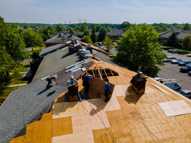Best Residential Roofing Contractor  in Hampshire, IL
