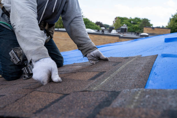Best Commercial Roofing Services  in Hampshire, IL