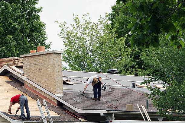 Best Metal Roofing Contractor  in Hampshire, IL
